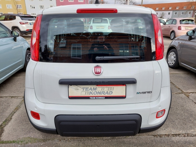 Fiat Panda 1.0 Pandina DAB Spurhalteass. Verkehrszeichenerk. Notbremsass. PDC Berganfahrass.-3