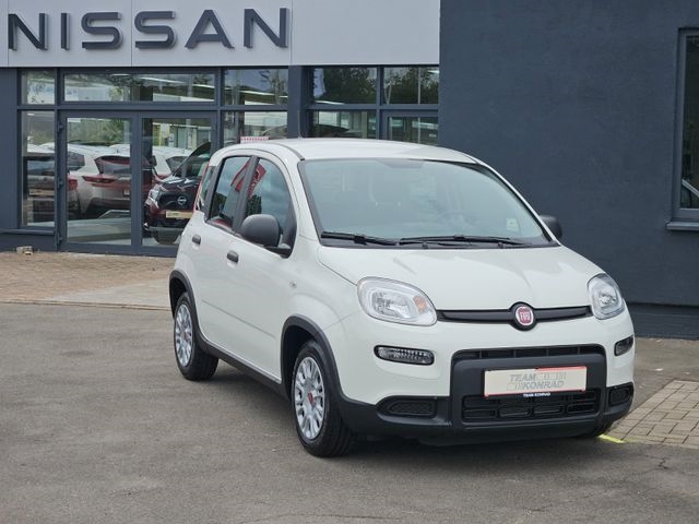 Fiat Pandina 1.0 - City Paket-sofort verfügbar-2