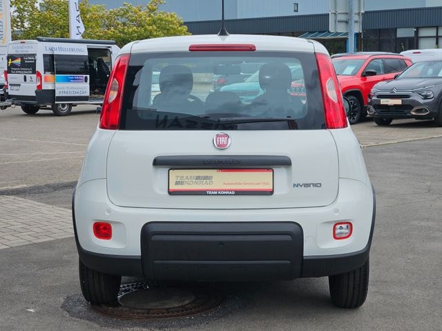 Fiat Pandina 1.0 - City Paket-sofort verfügbar-3